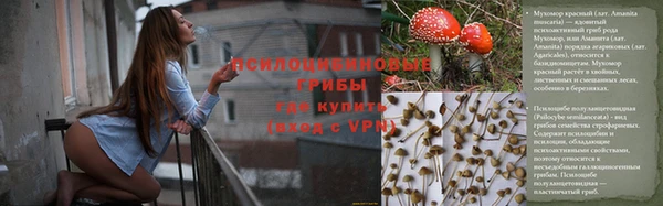 эйфоретик Зерноград