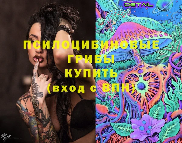 a pvp Заводоуковск