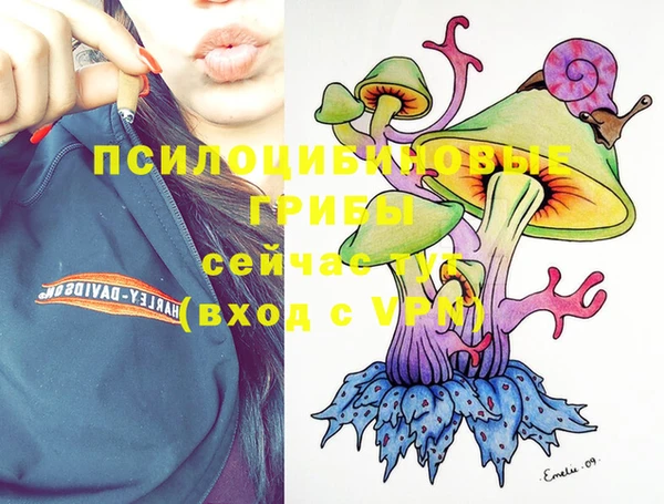 хмурый Зеленодольск
