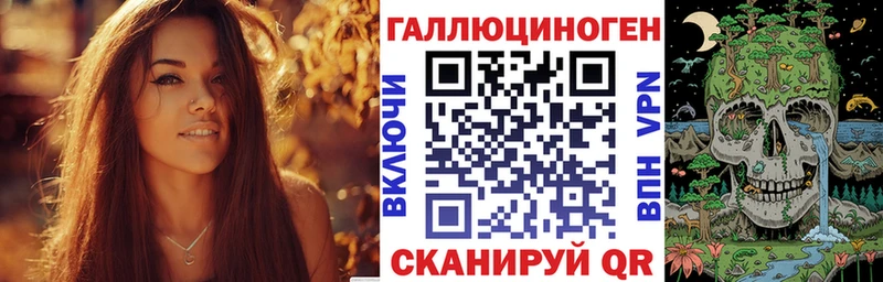 Псилоцибиновые грибы Magic Shrooms  где купить наркотик  Камышлов 